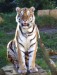 200px-Panthera_tigris_altaica.jpg
